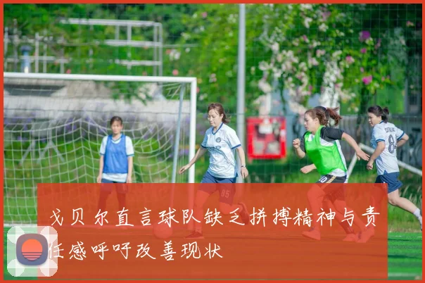 戈贝尔直言球队缺乏拼搏精神与责任感呼吁改善现状