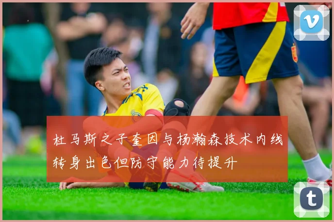 杜马斯之子奎因与杨瀚森技术内线转身出色但防守能力待提升