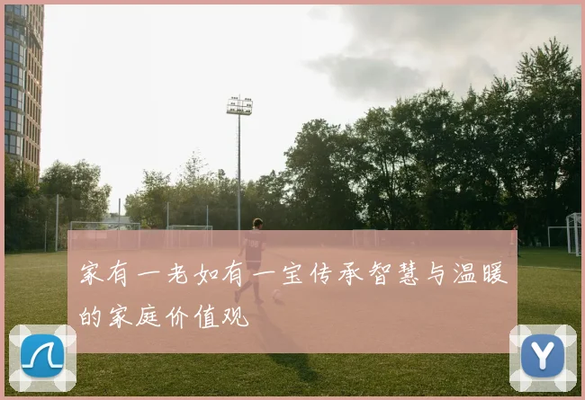 家有一老如有一宝传承智慧与温暖的家庭价值观